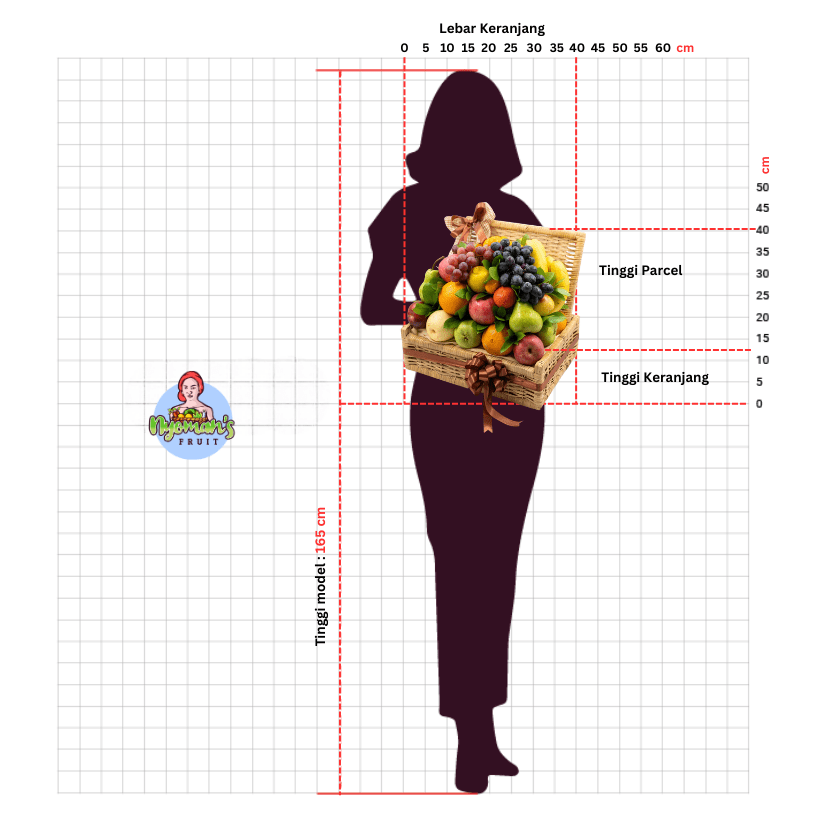 Camellia Shine 3 Size chart Camellia Shine ukuran L dengan keranjang 40 x 30 x 13 cm dan tinggi parcel total 34 cm